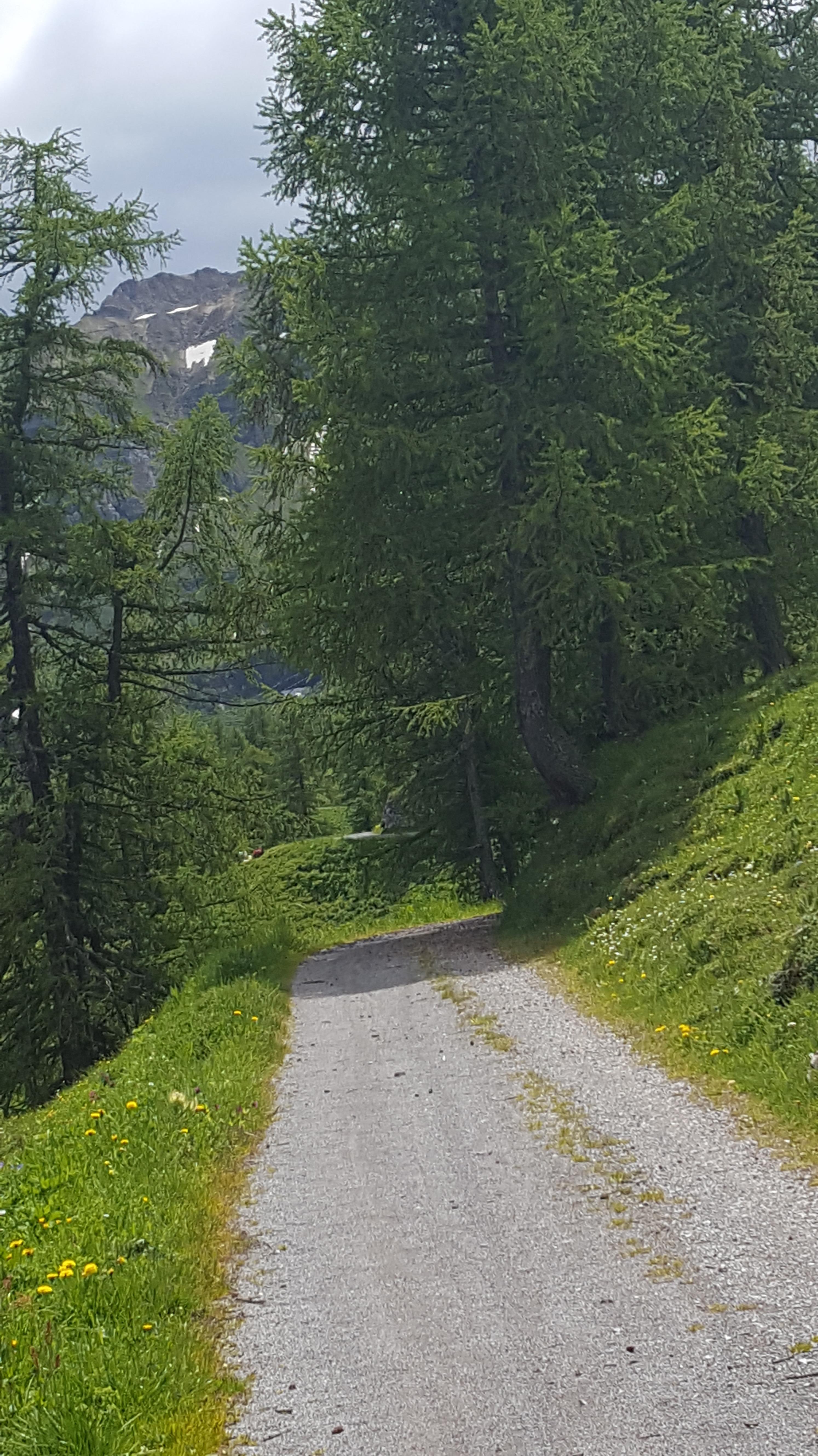 Der letzte Kilometer